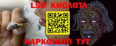 гашик Ярославль