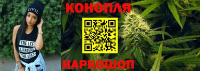 дживик Шелехов