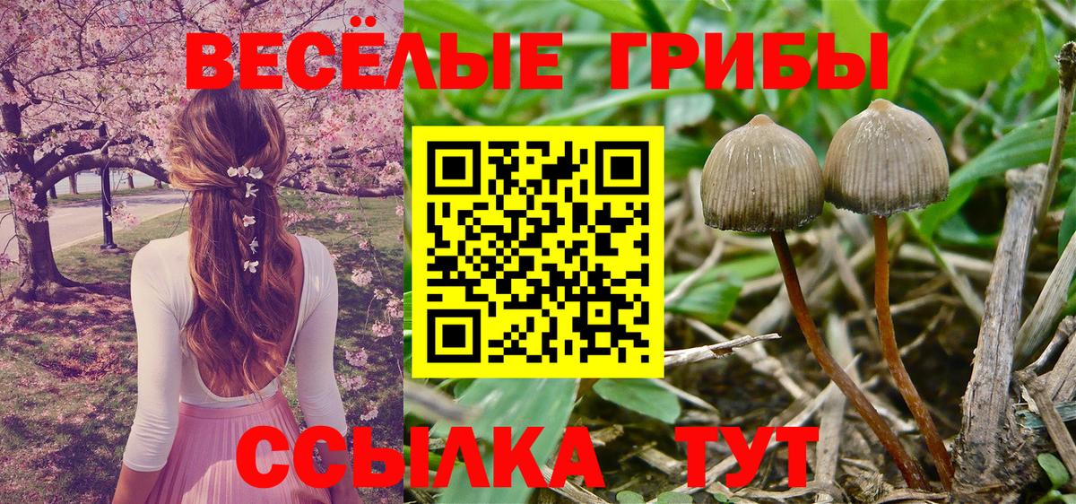 купить наркоту  Галлюциногенные грибы прущие грибы  Вход с VPN  Урай 