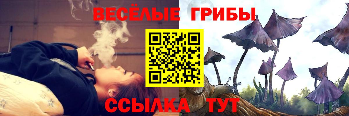 Псилоцибиновые грибы Psilocybe Урай
